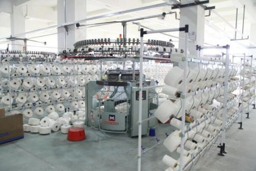 援疆暖民心 臺(tái)州助力新疆兵團(tuán)第一師阿拉爾市民生發(fā)展技術(shù)開發(fā)紀(jì)實(shí)